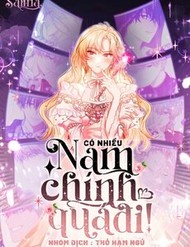 Truyện tranh Có Nhiều Nam Chính Quá Đi!