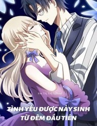 Truyện tranh Tình Yêu Được Nảy Sinh Từ Đêm Đầu Tiên (Có Kết Hôn)